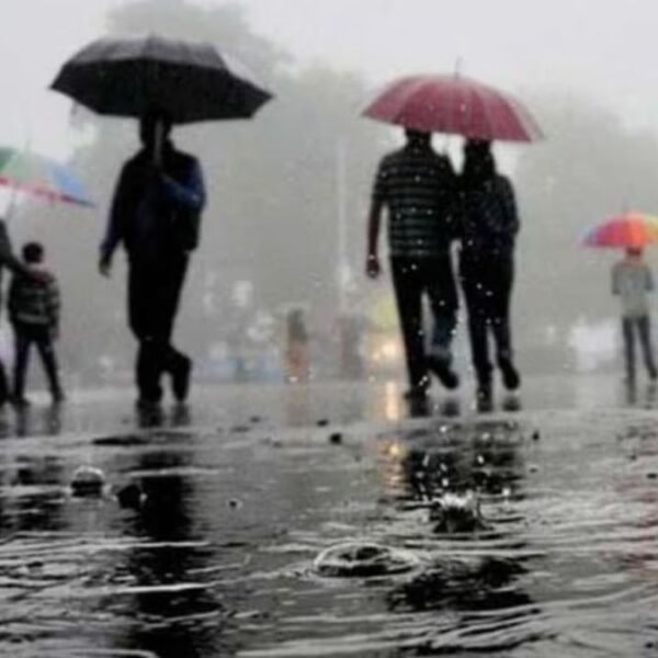 Rainfall Brings Much-Needed Relief from Heat in Parts…